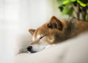 お気軽にご相談ください